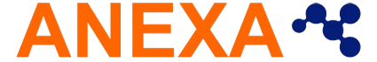 ANEXA CONSULTORES